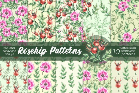 Watercolor Rosehip Patterns PNG, JPG